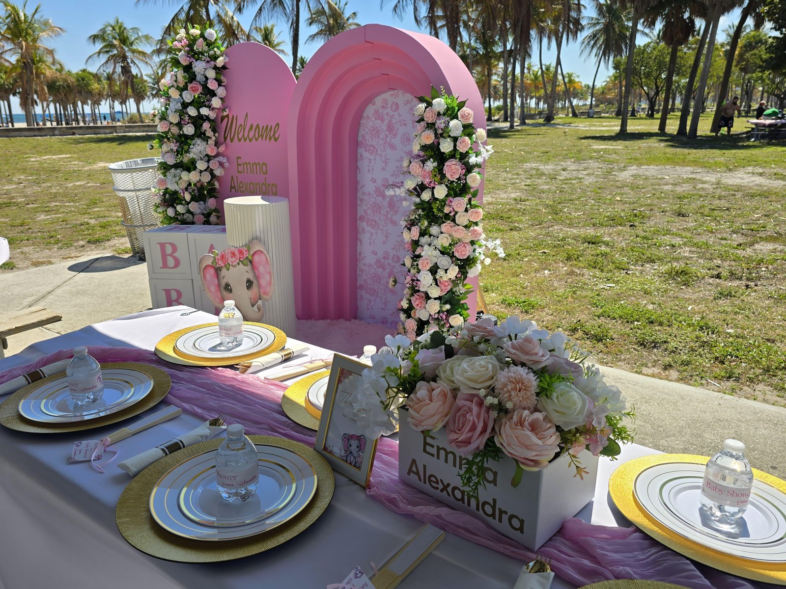 Decoración Baby Shower Premium